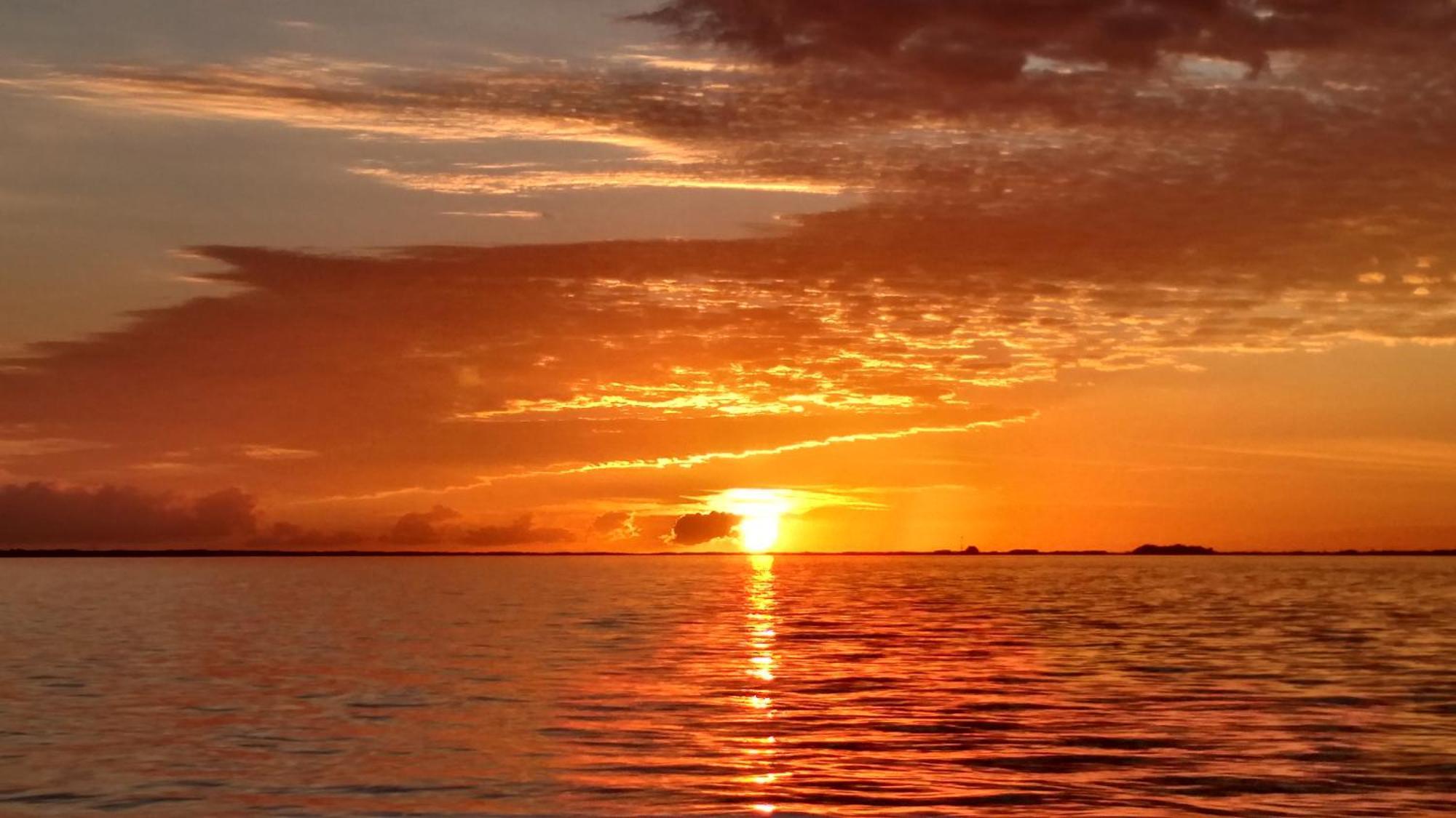شاطئ بنساكولا Portofino Tower1-908 Beachfront Sunrise Views المظهر الخارجي الصورة